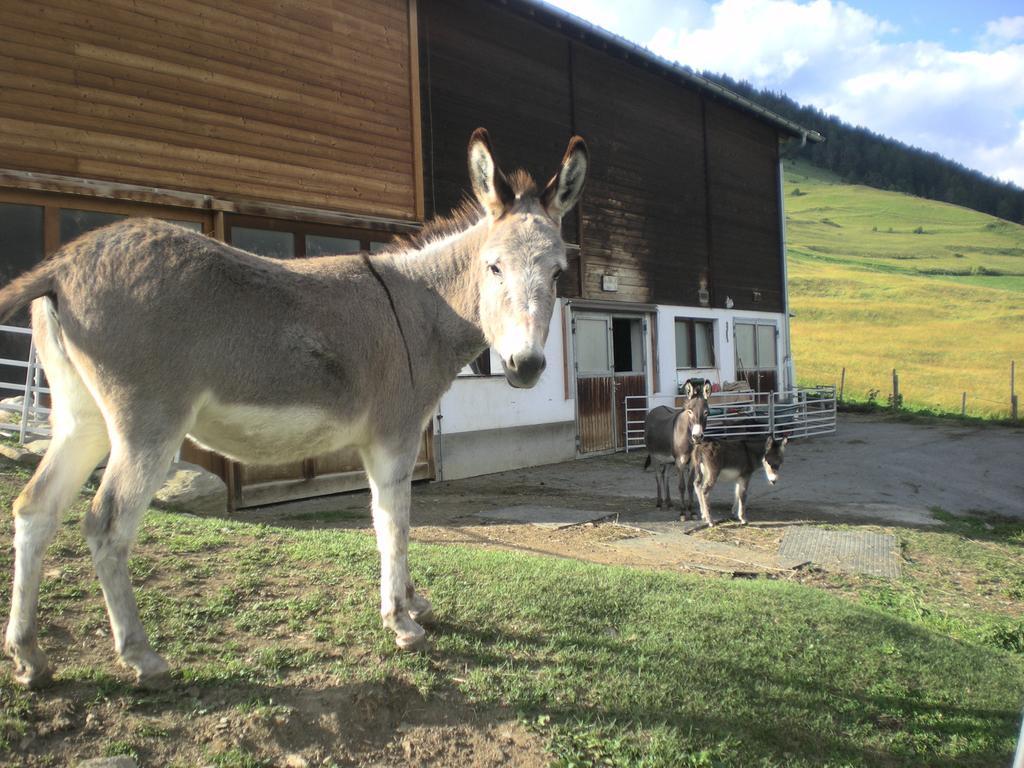 Chasa Werro Lägenhet Sent Exteriör bild